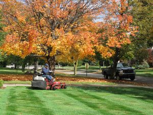 Fall Clean Up Services Georgetown