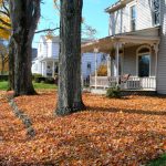 Leaf Clean Up Services