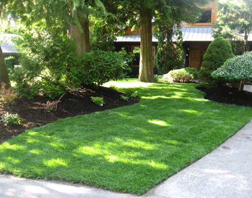 Lawn Care Companies