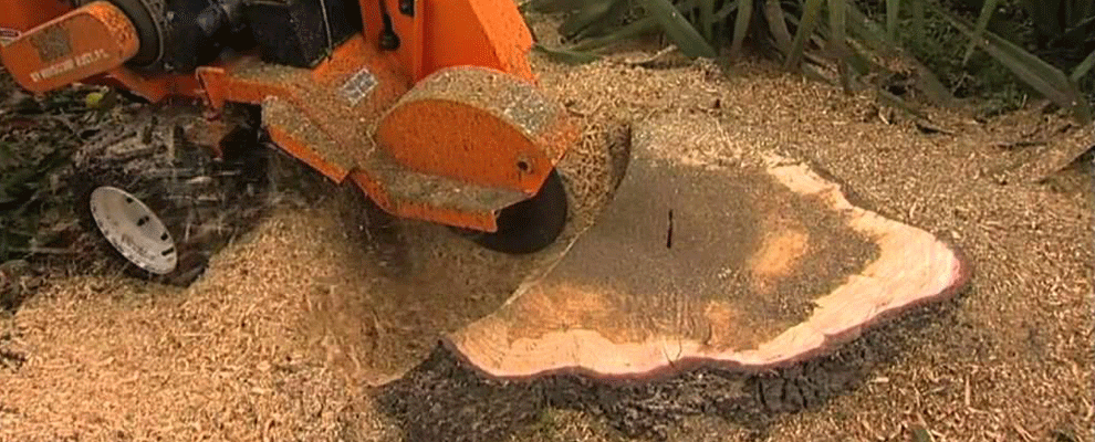 Stump Grinding Services