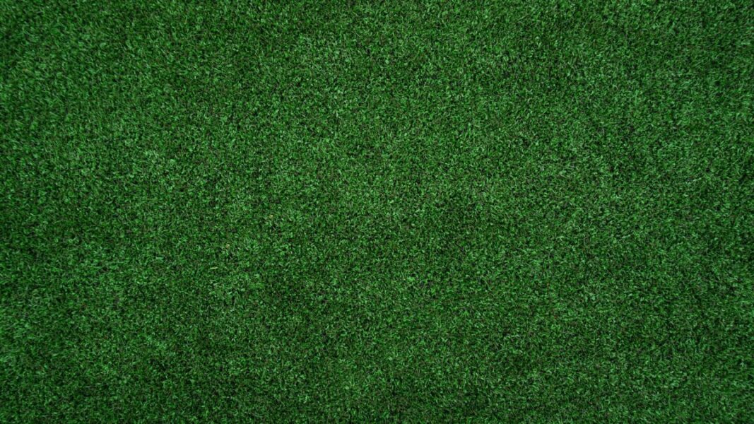 how-to-mow-your-lawn-properly-lawn-worx